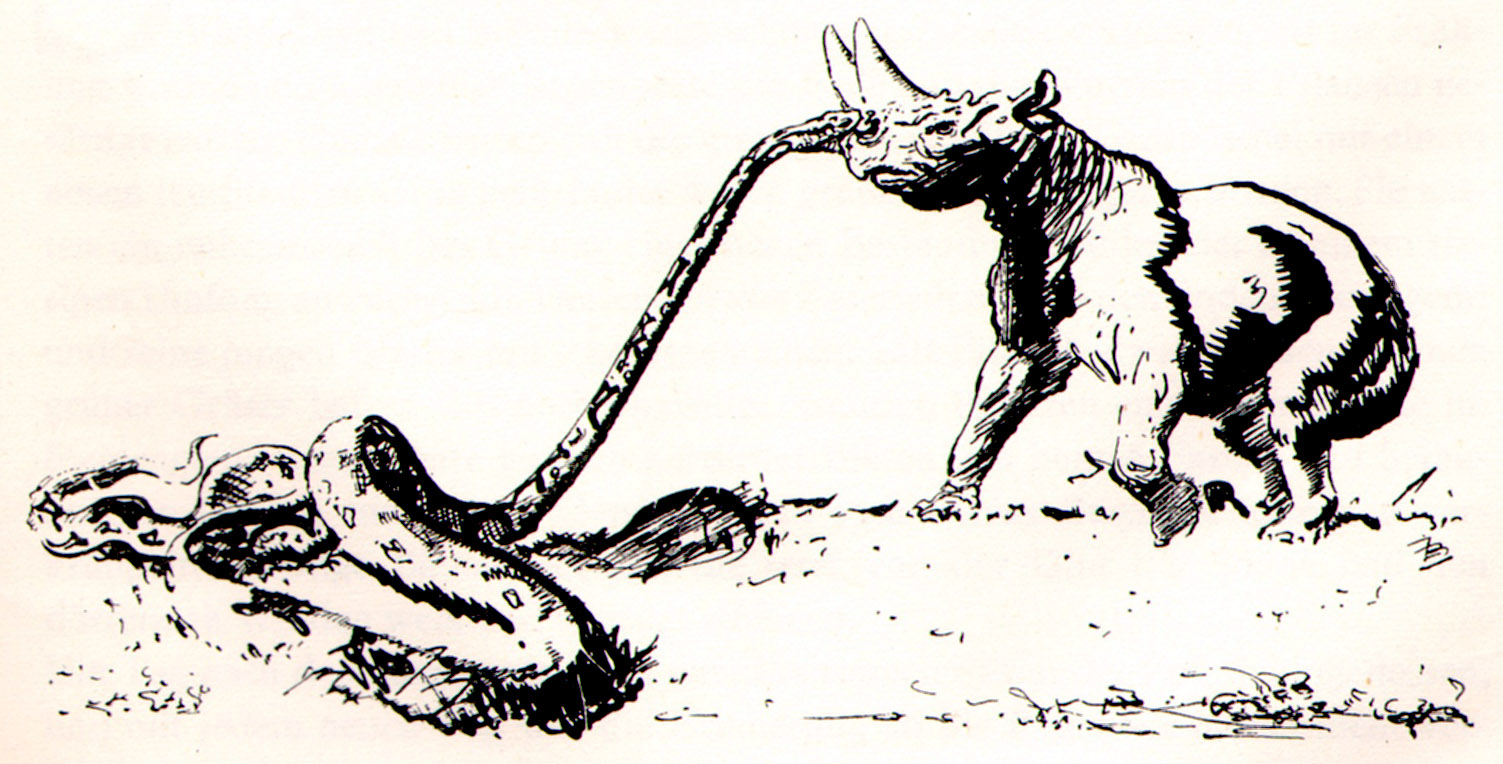 Snake Biting Drawing at GetDrawings Free download