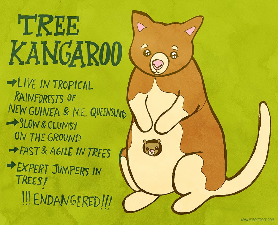 Tree Kangaroo Drawing at GetDrawings Free download