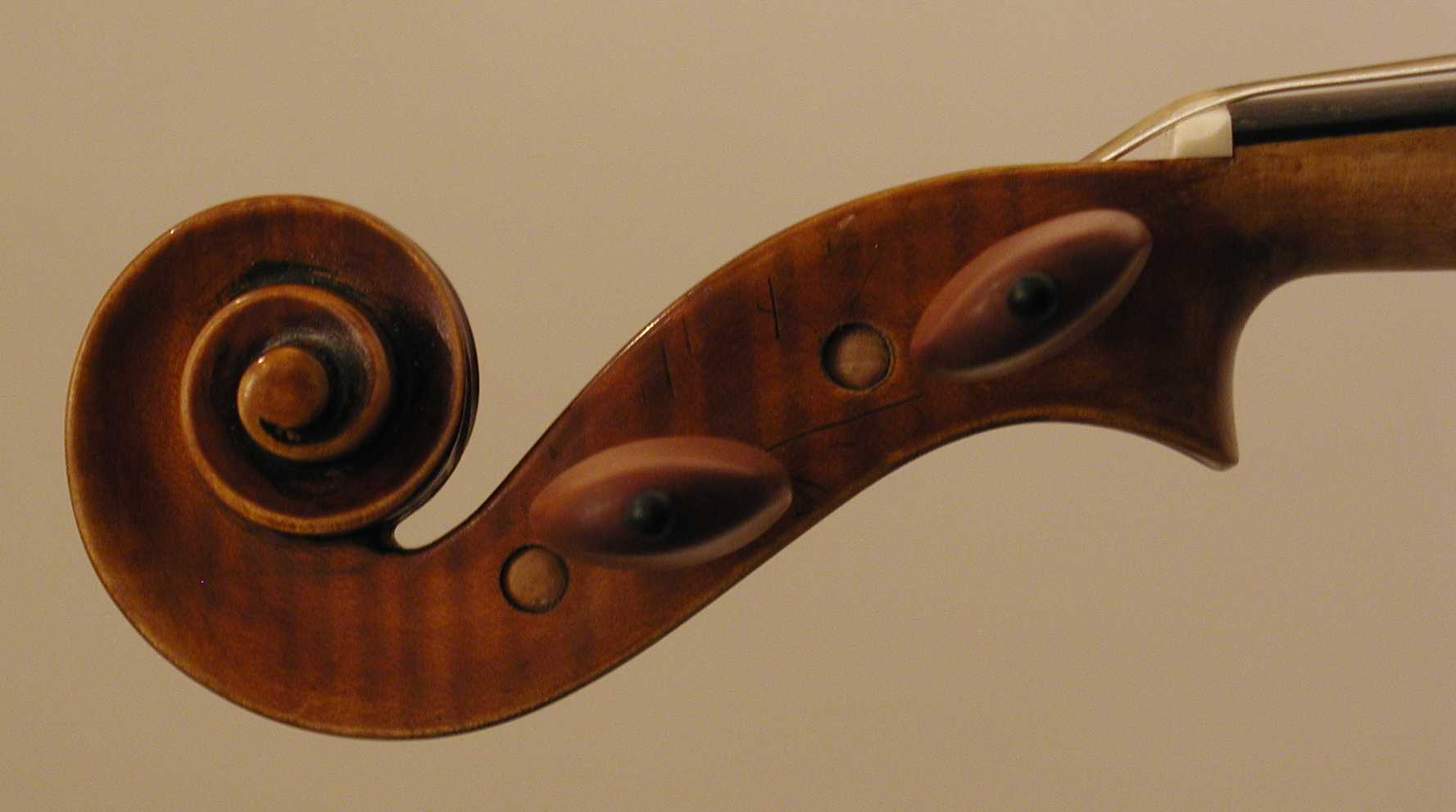 Violin Scroll Drawing at GetDrawings Free download