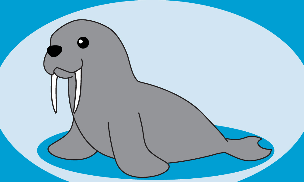 Walrus Drawing at GetDrawings Free download