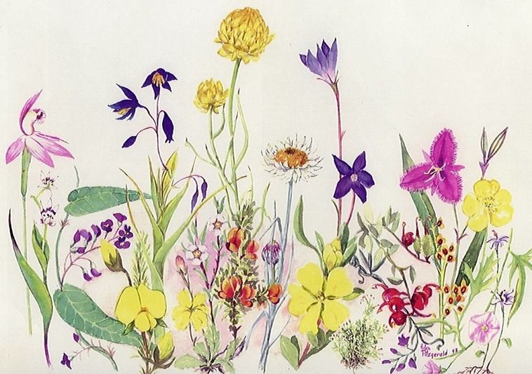 Wildflower Drawing at GetDrawings Free download