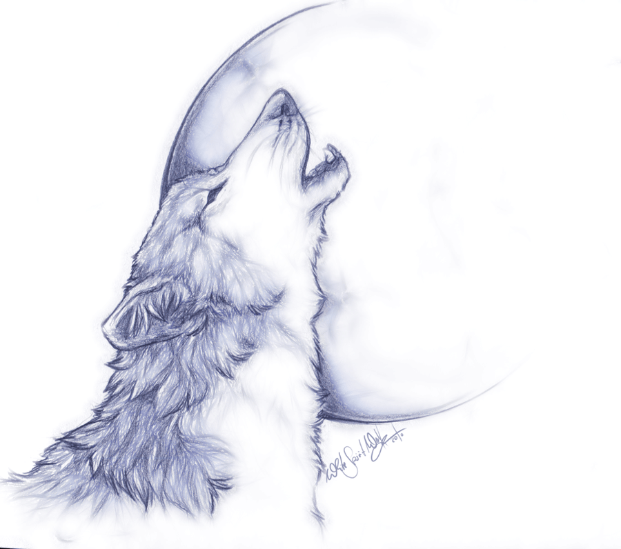 Wolf Howl Drawing at GetDrawings Free download