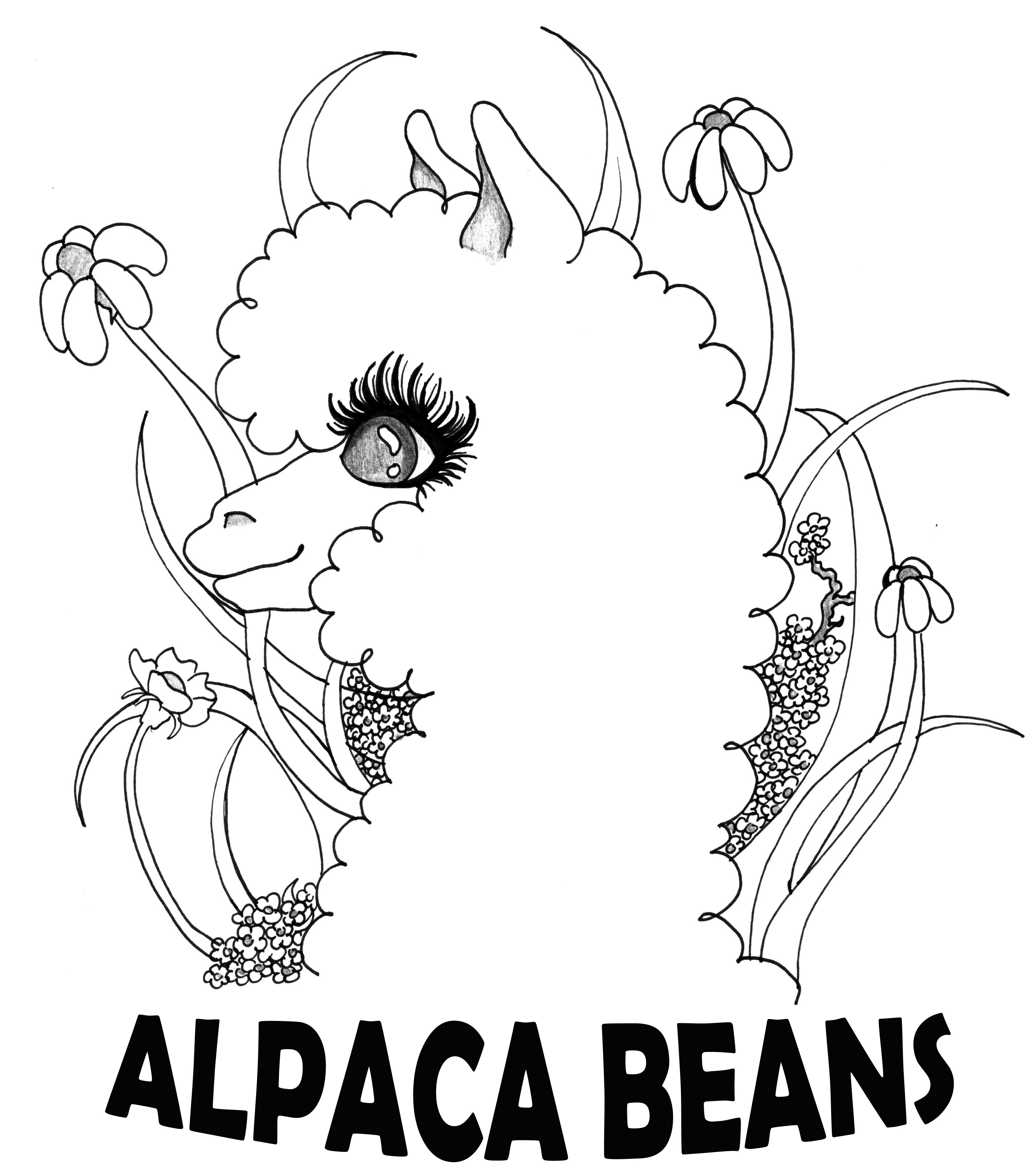 Alpaca Line Drawing at GetDrawings Free download