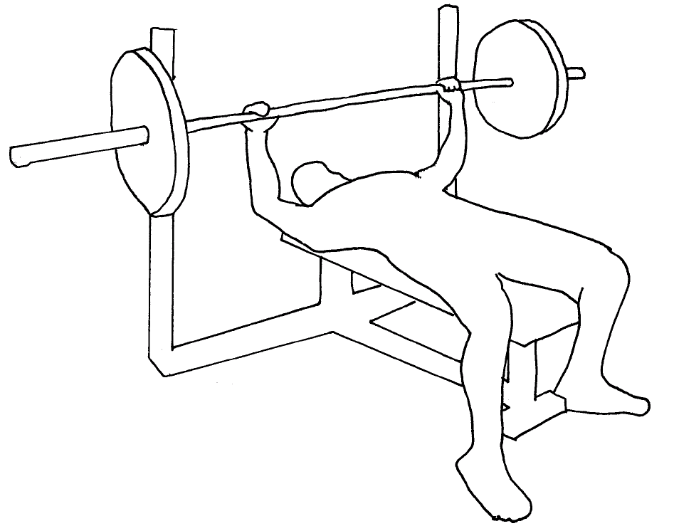 Bench Press Drawing at GetDrawings Free download