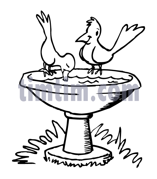 Bird Bath Drawing at GetDrawings Free download