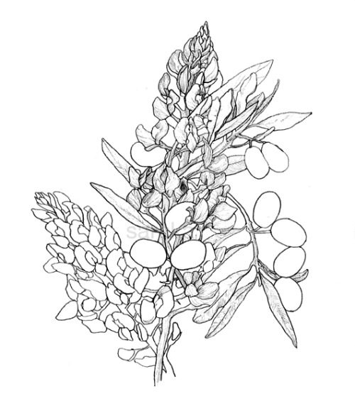 Drawing at GetDrawings Free download