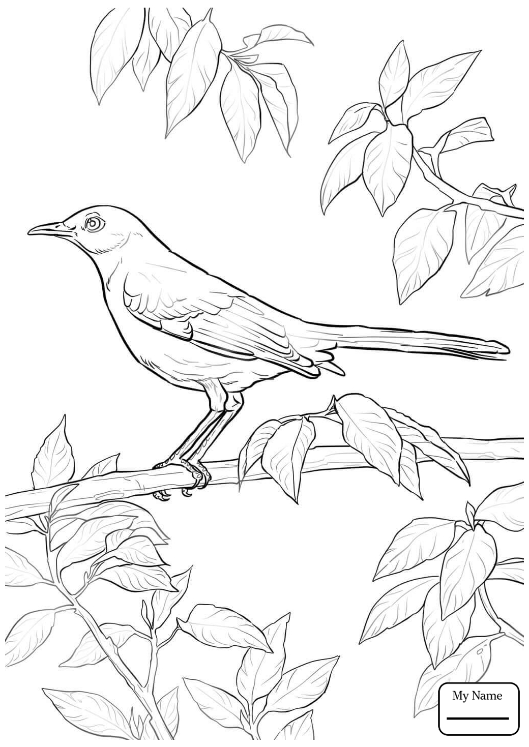 Drawing at GetDrawings Free download