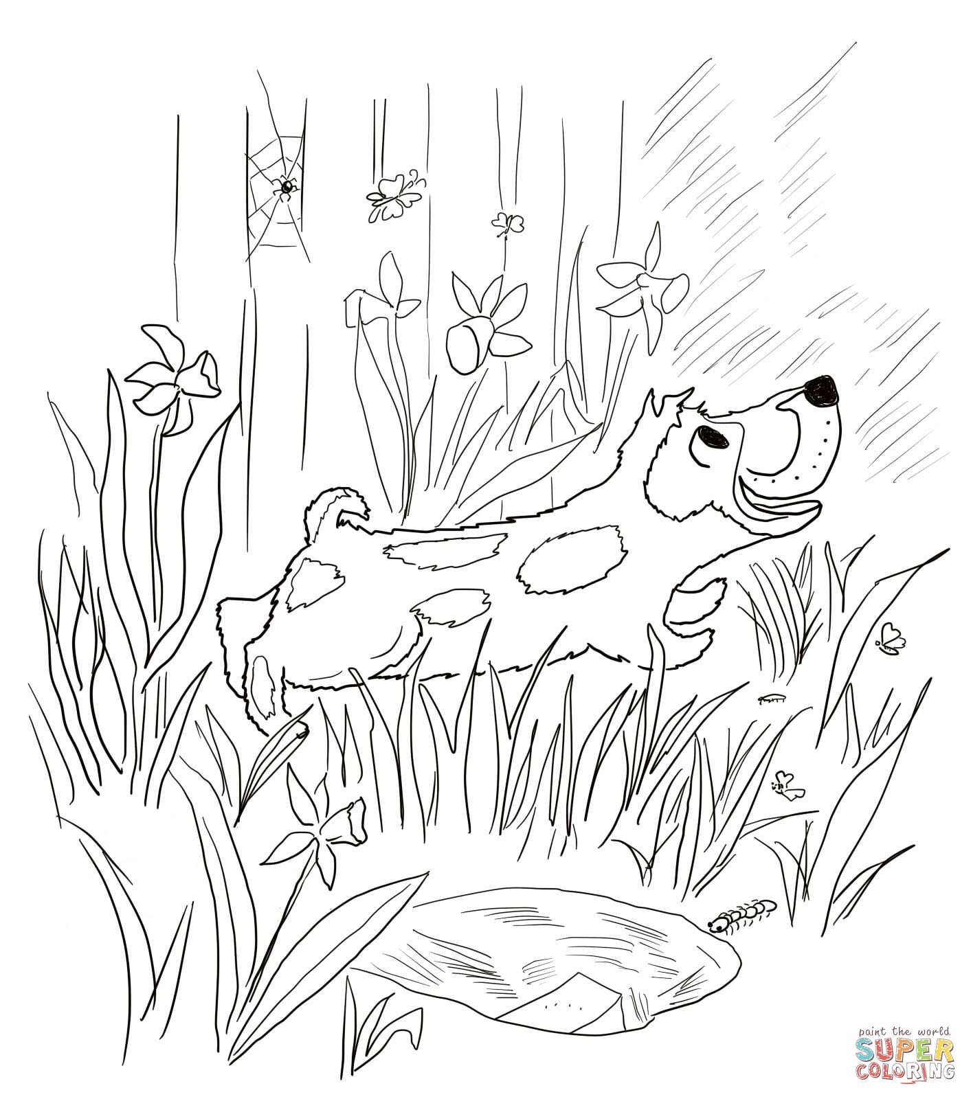 Boulder Drawing at GetDrawings Free download