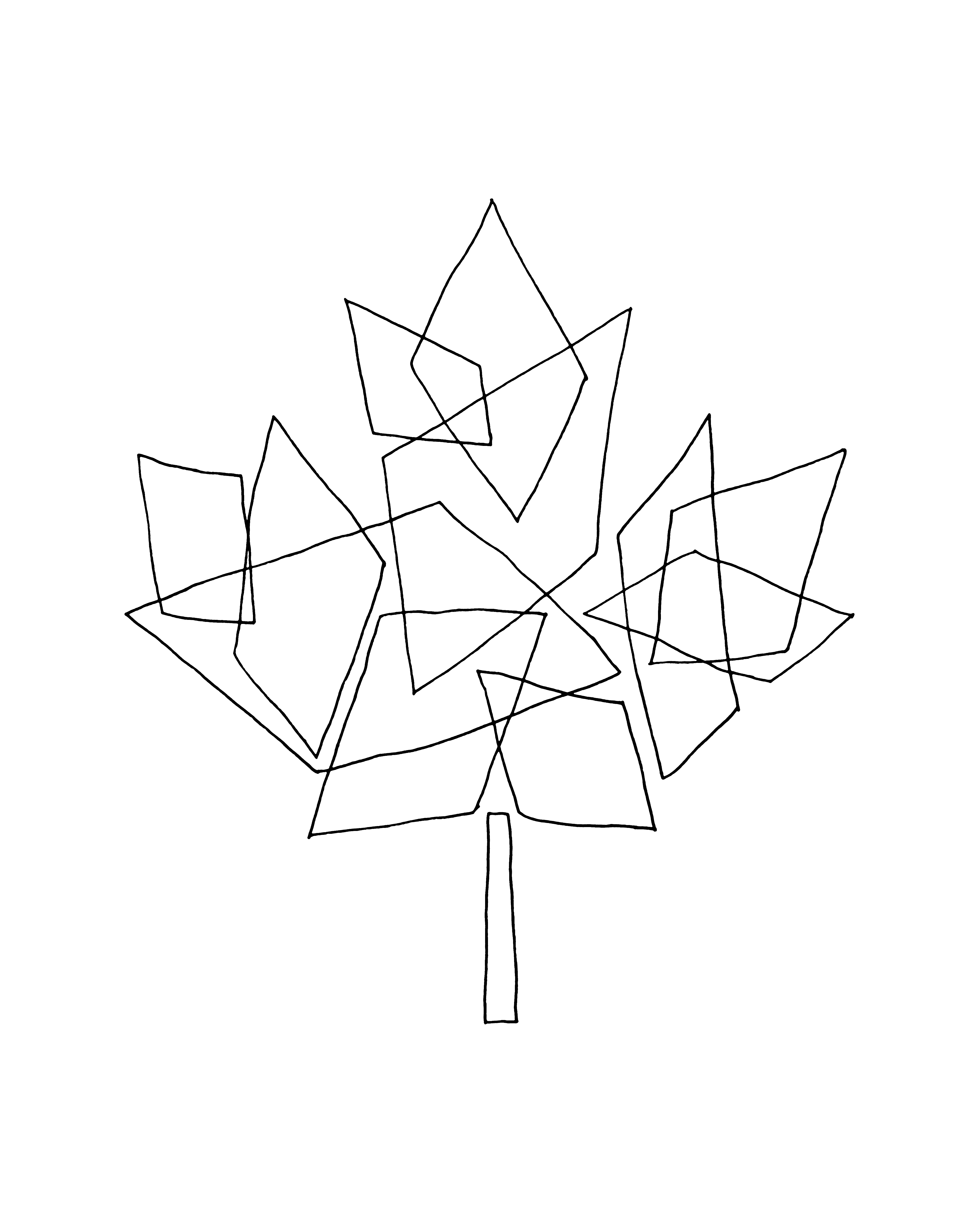 Canada Maple Leaf Drawing at GetDrawings Free download