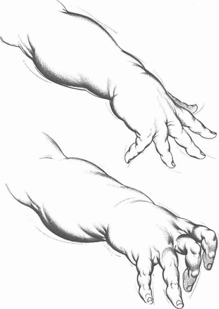 Claw Hand Drawing at Free for personal use Claw Hand Drawing of your choice