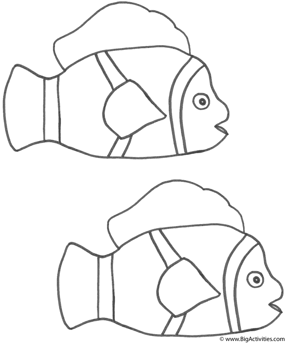 Clownfish Drawing at GetDrawings Free download