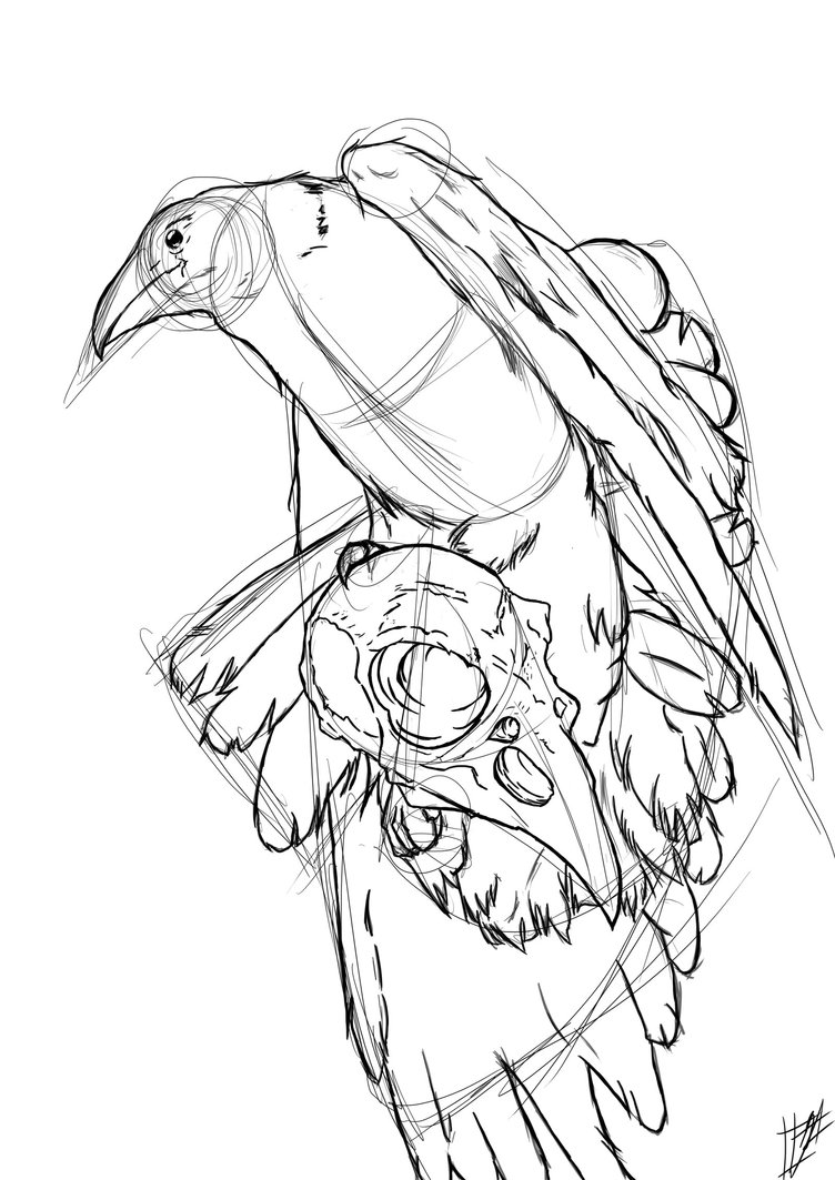 Crow Line Drawing at GetDrawings Free download