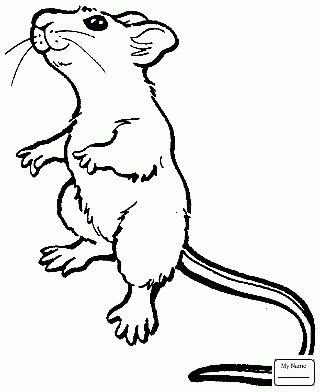 Cute Rat Drawing at GetDrawings Free download