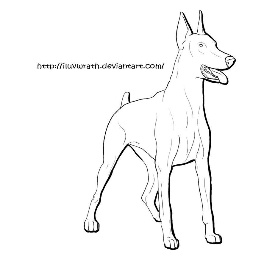 The best free Doberman drawing images. Download from 139
