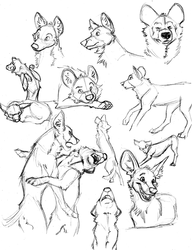 Dog Anatomy Drawing at GetDrawings Free download