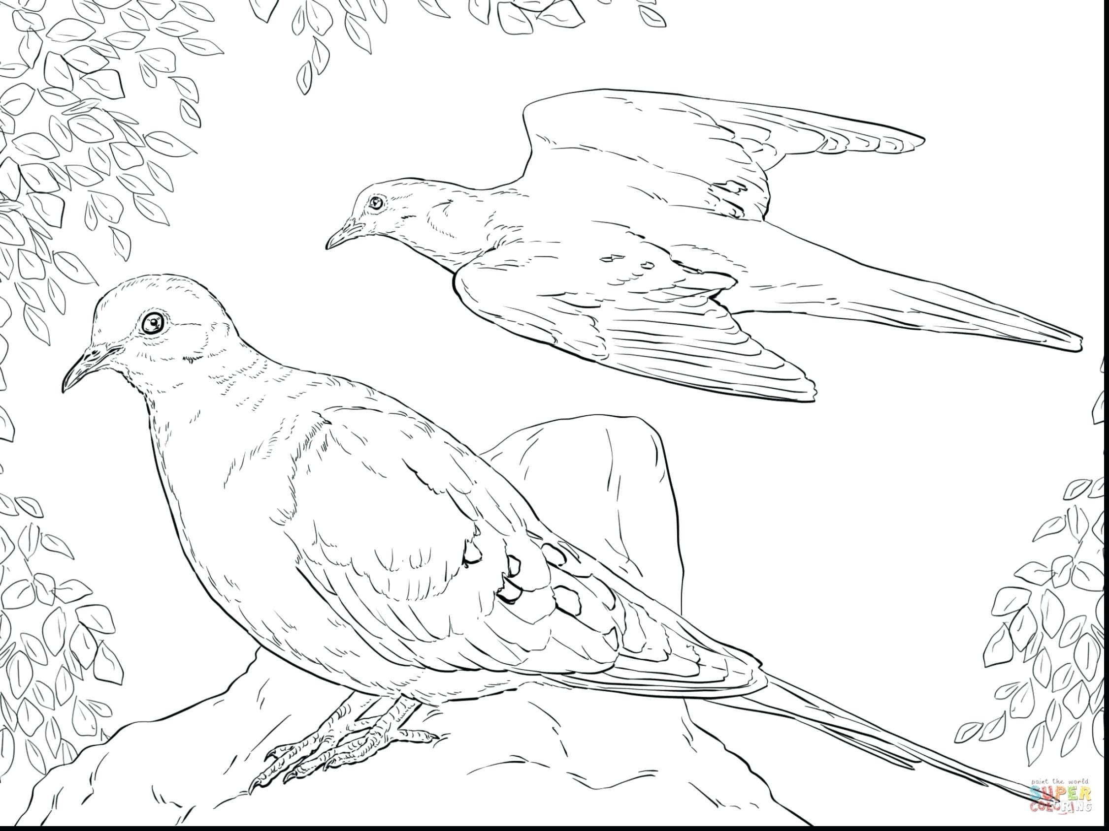 Doves Drawing at GetDrawings Free download
