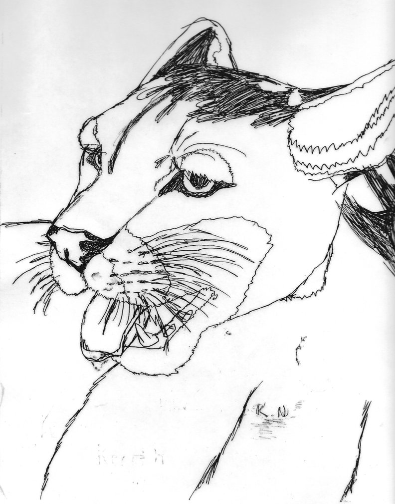 Drawing For 8 Year Olds at GetDrawings Free download