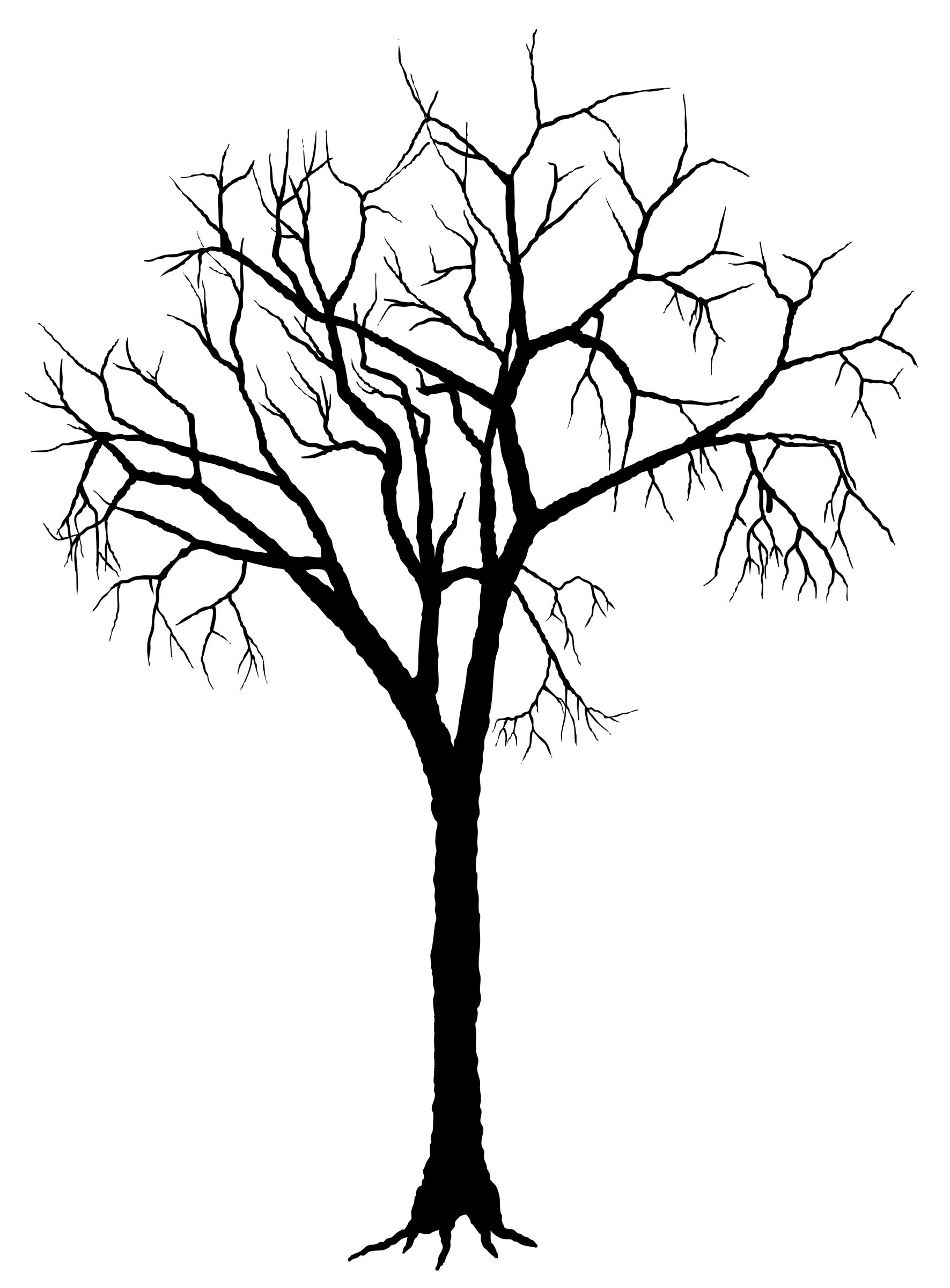 Dry Tree Drawing at GetDrawings Free download
