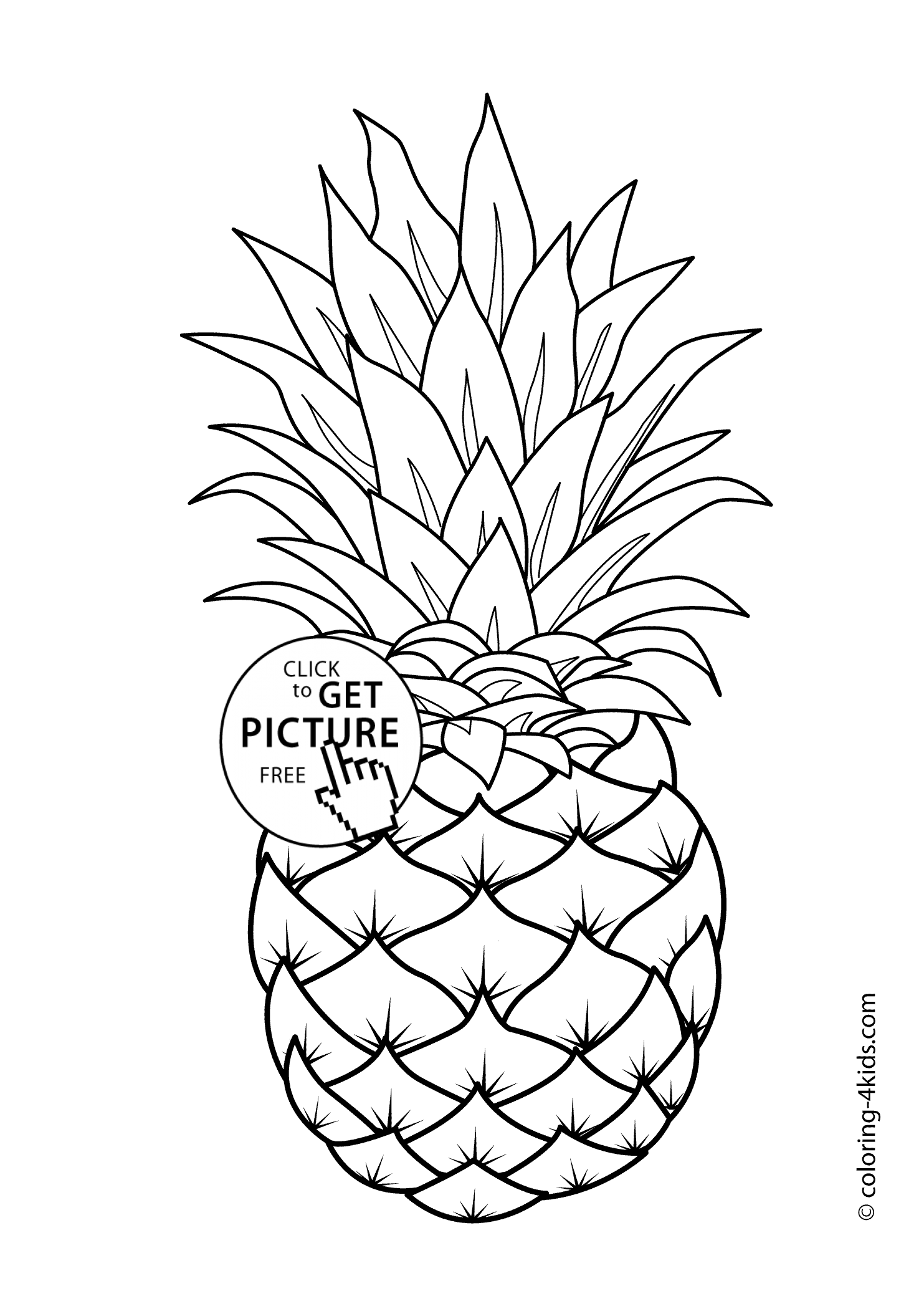 Easy Pineapple Drawing at GetDrawings Free download