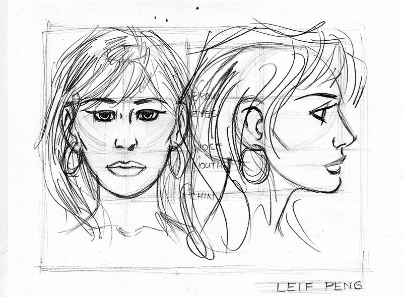 Face Proportion Drawing at GetDrawings Free download
