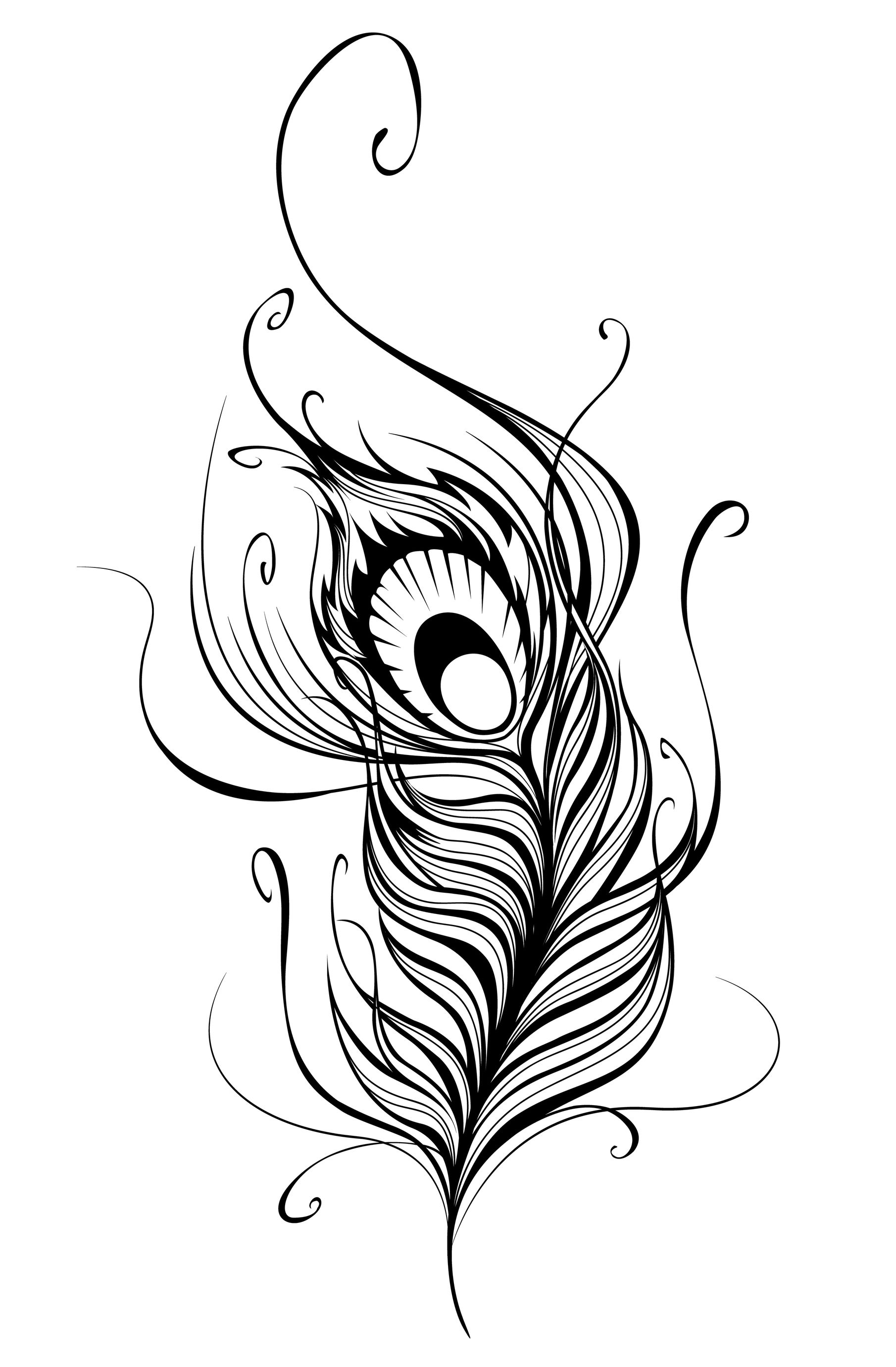 Feather Drawing Simple at GetDrawings Free download