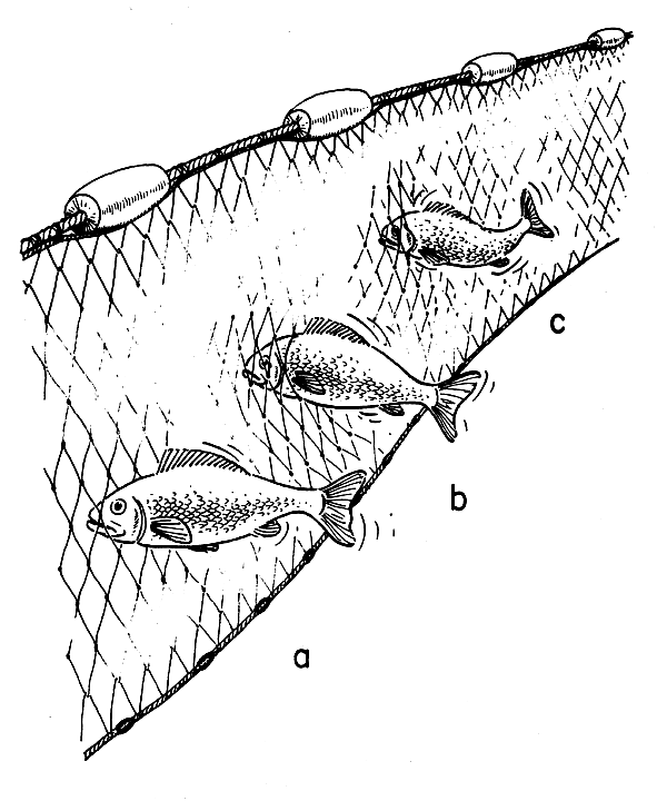 Fishing Net Drawing at GetDrawings Free download