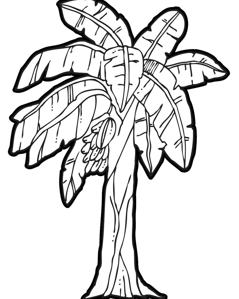 Fruit Tree Drawing at GetDrawings Free download