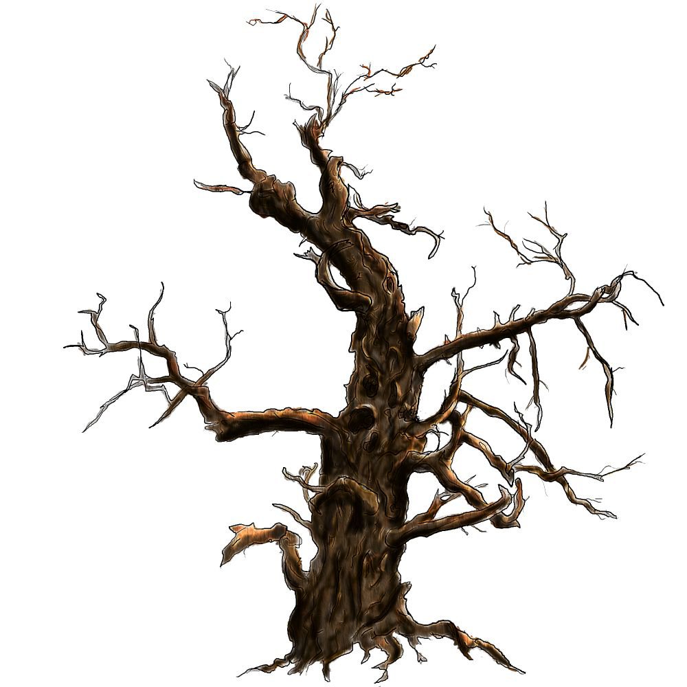 Gnarled Tree Drawing at GetDrawings Free download