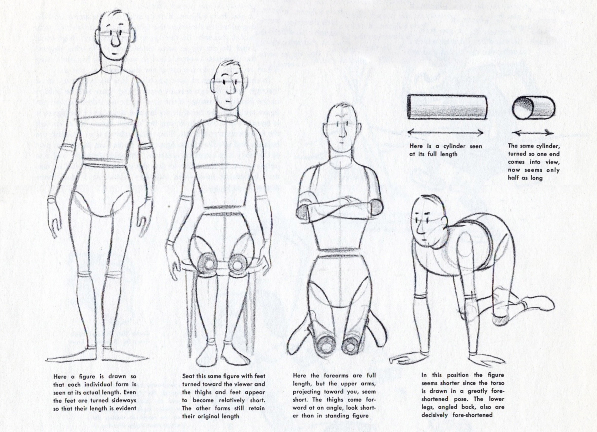 Human Back Drawing at GetDrawings Free download