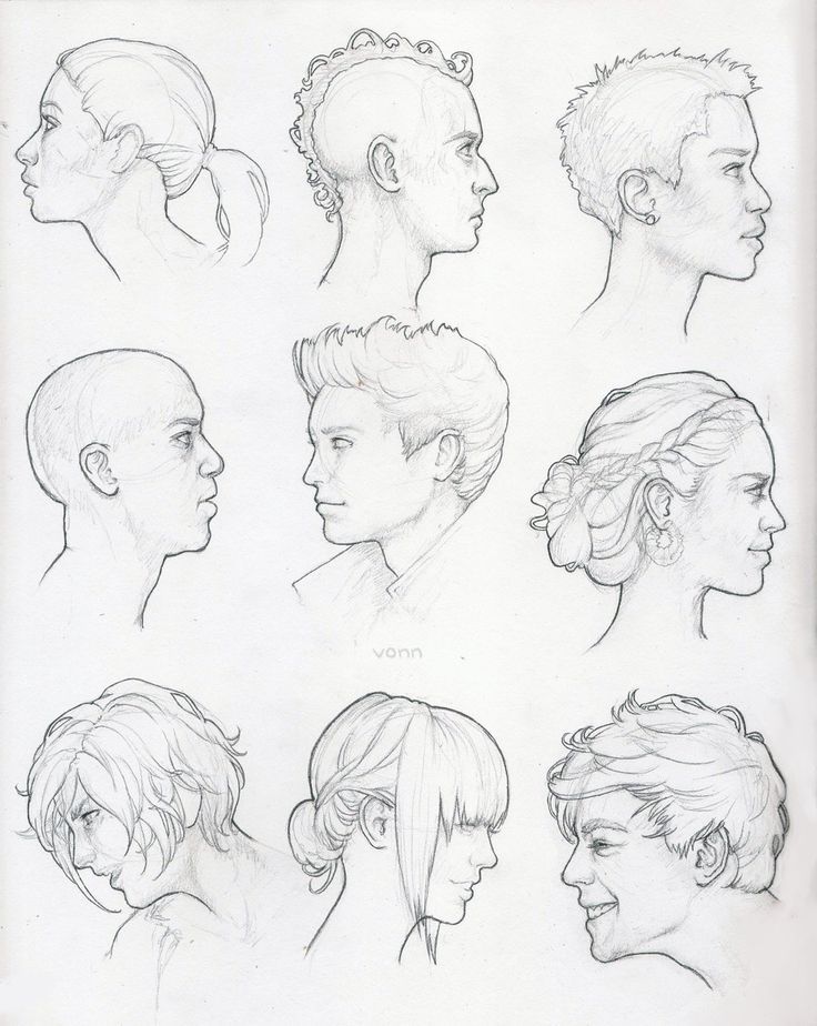 Human Skull Drawing Reference at GetDrawings Free download