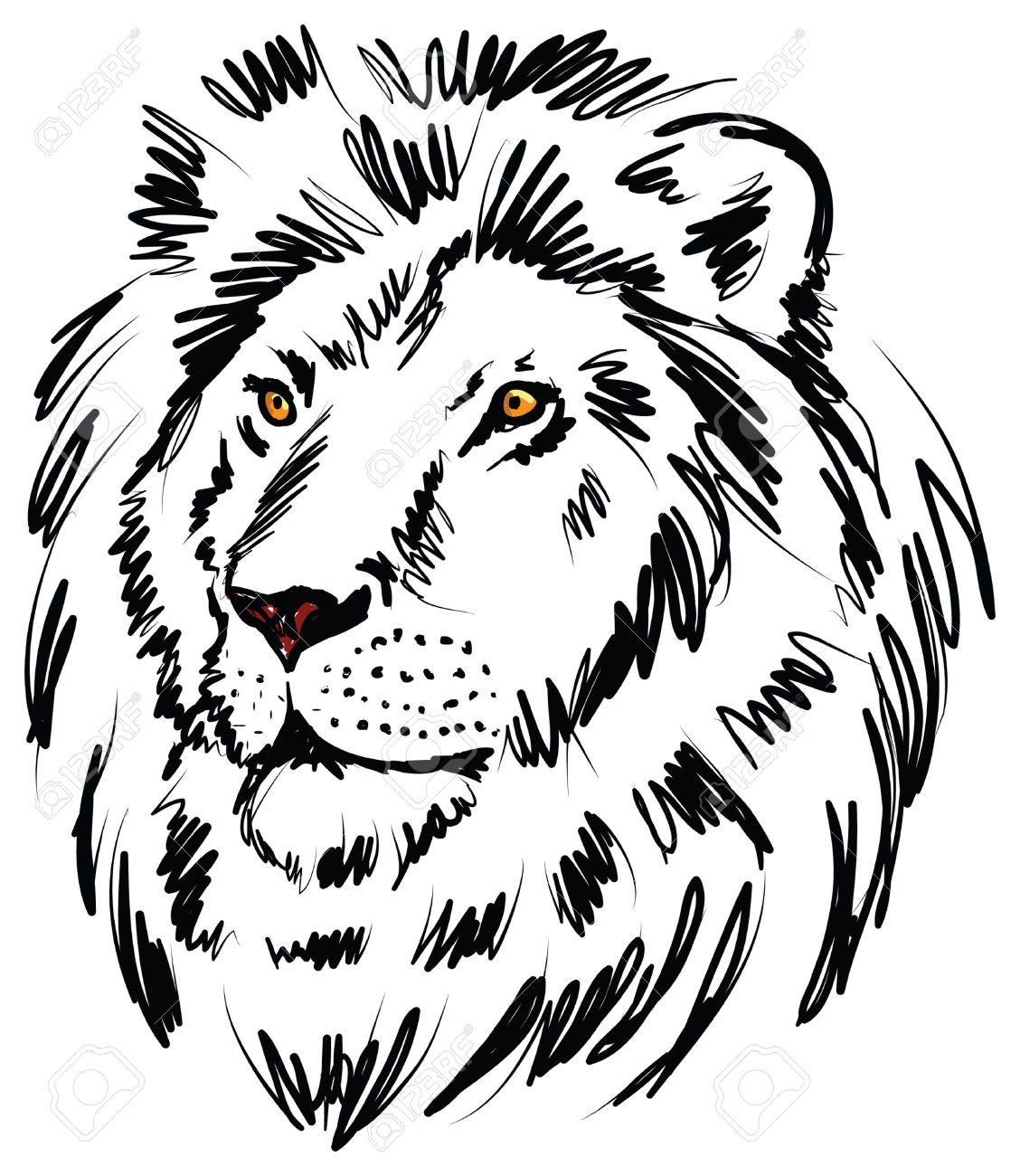 Lion Head Drawing at GetDrawings Free download