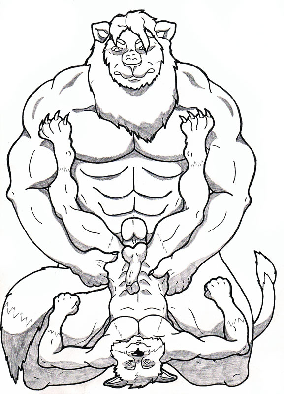 Lion Lying Down Drawing at GetDrawings Free download