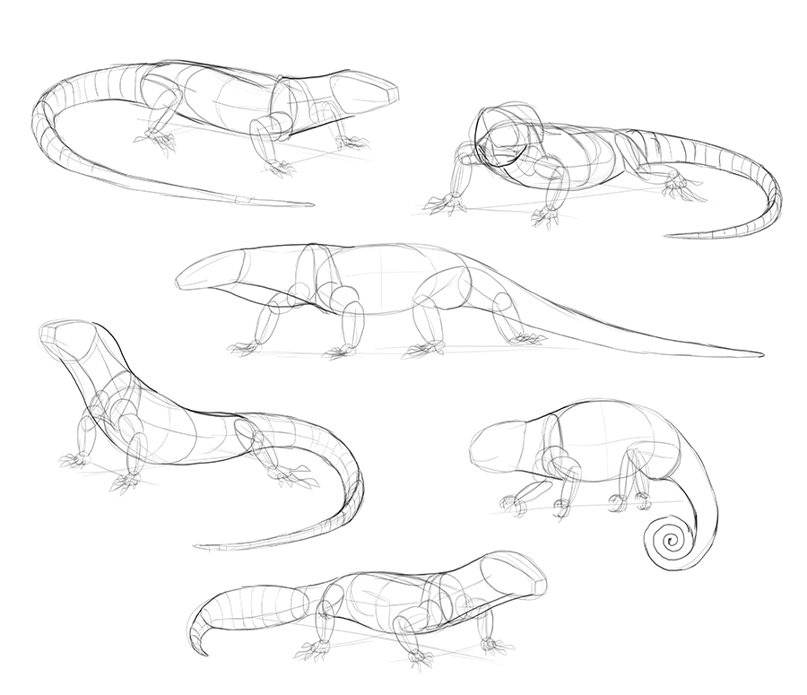 Lizard Line Drawing at GetDrawings Free download