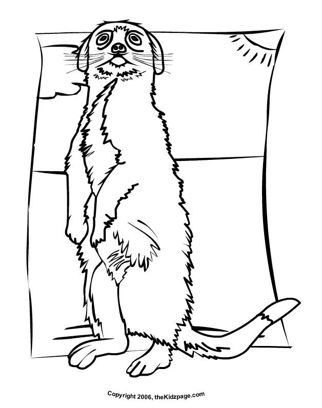 Meerkat Drawing at GetDrawings Free download