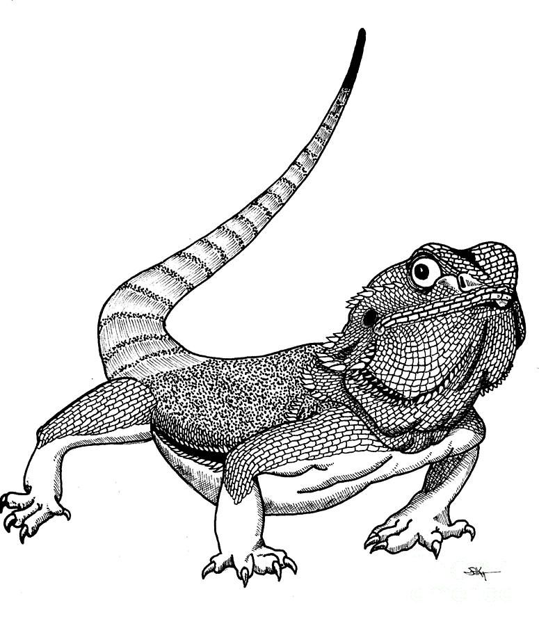 Trendy Inspiration Lizards Coloring Pages Free Printable Lizard For