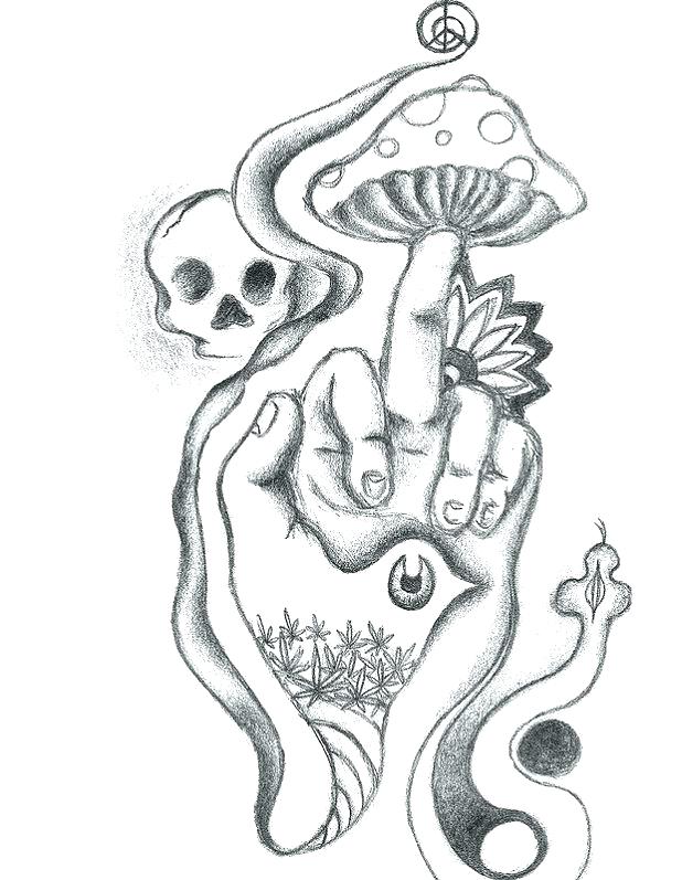 The best free Mushroom drawing images. Download from 890 free drawings