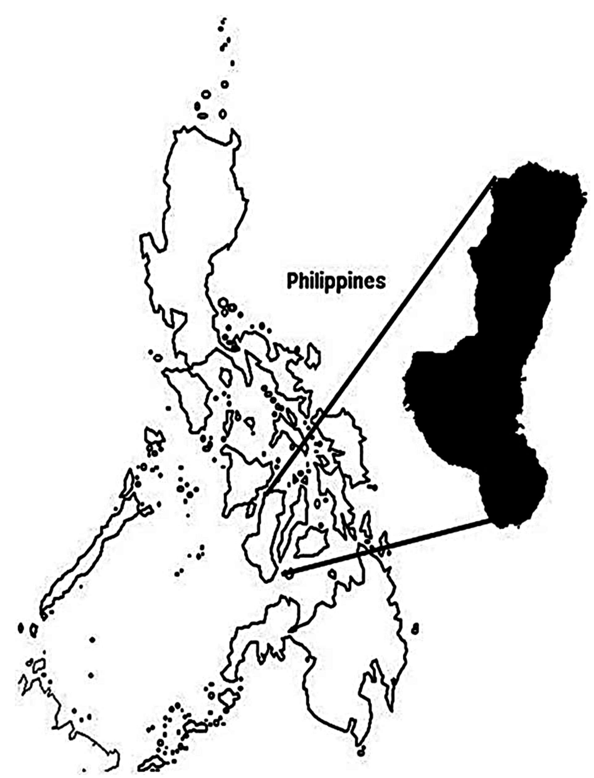 Who draw the map of the Philippines? – wren-clothing.com