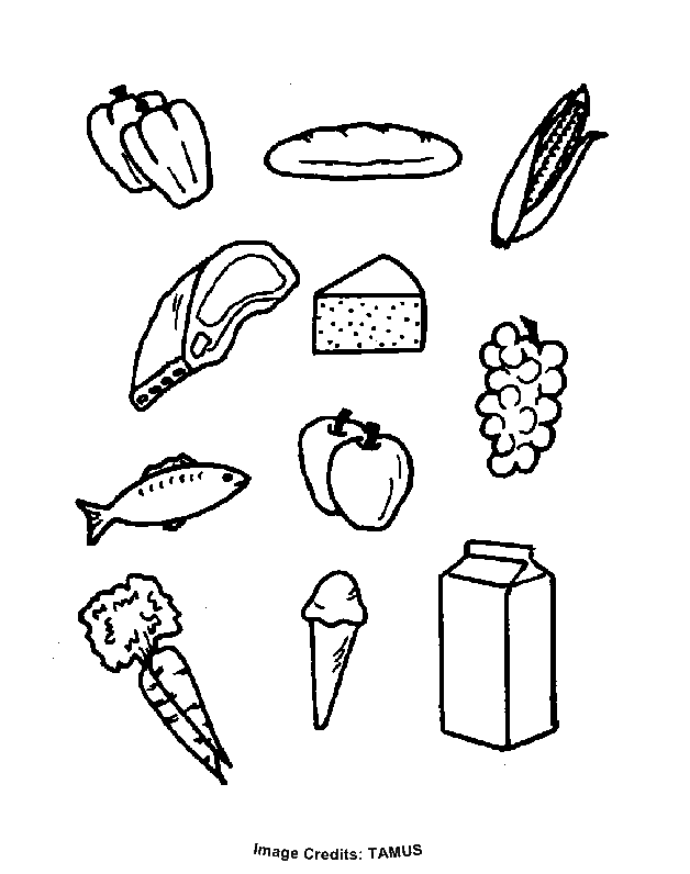 Protein Coloring Sheet Coloring Pages