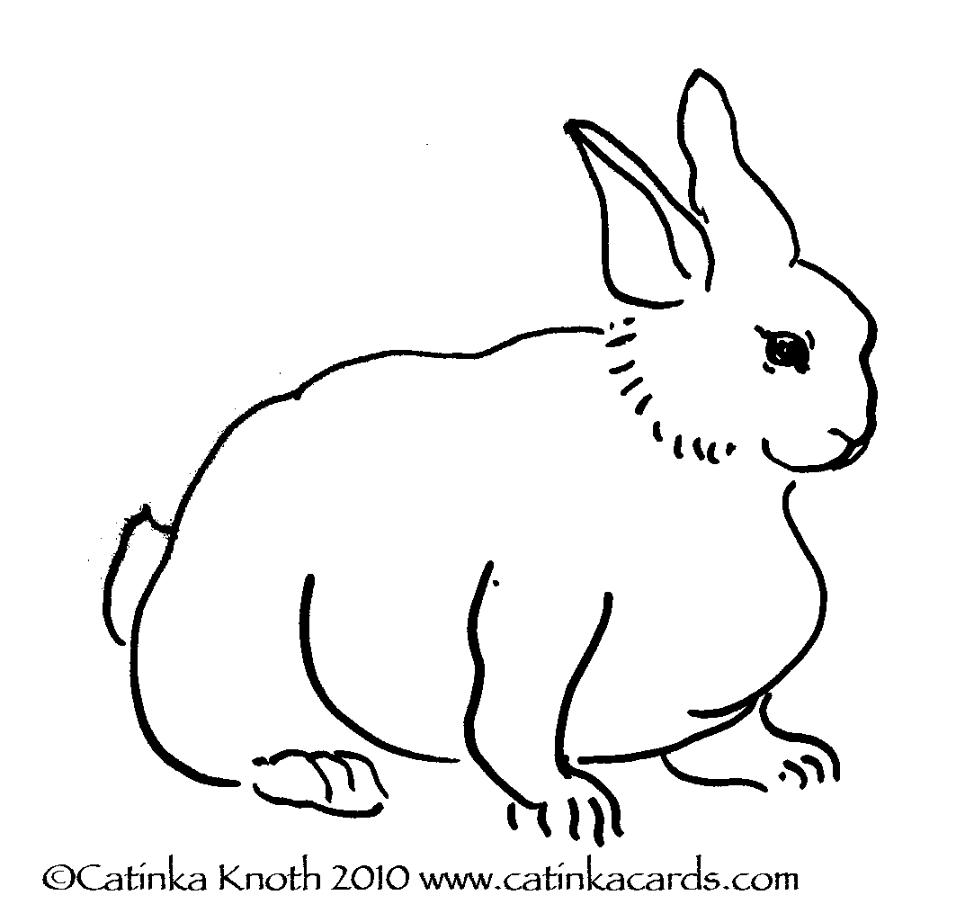 Rabbit Line Drawing at GetDrawings Free download
