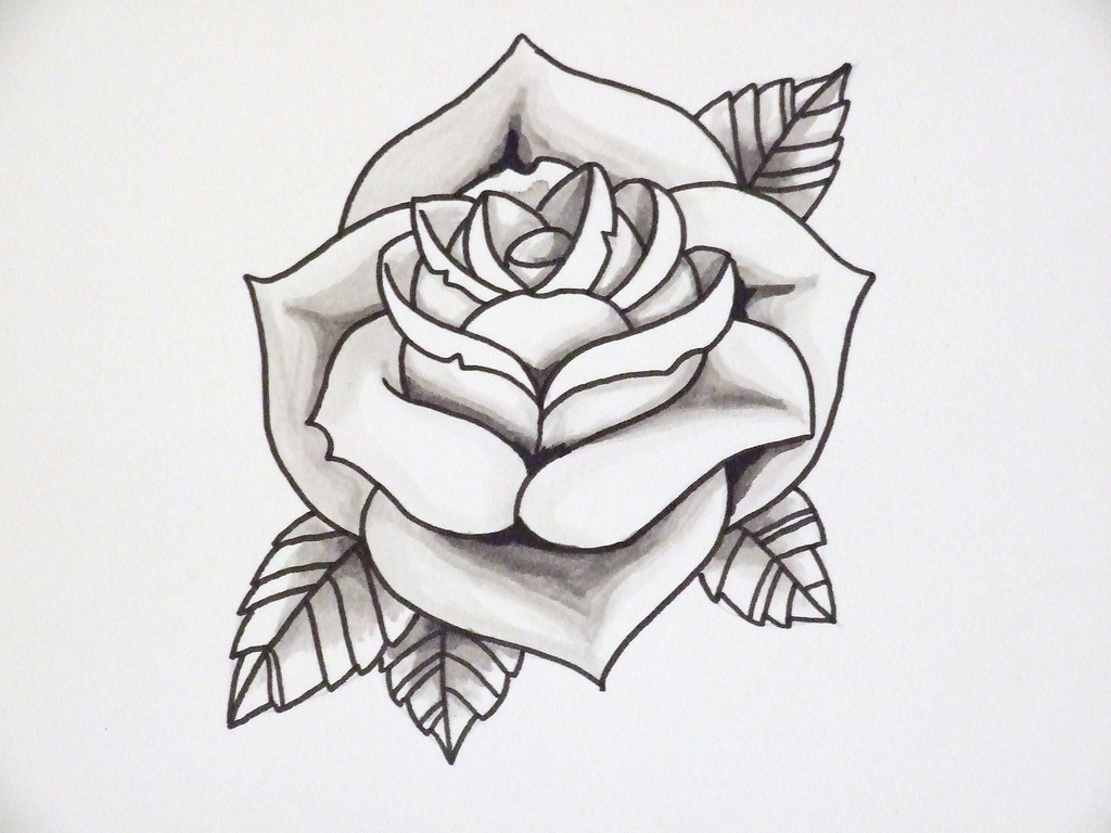 Rose Drawing at GetDrawings Free download