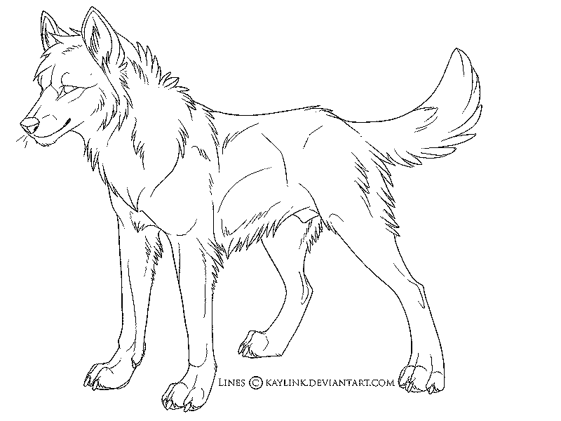Scary Wolf Drawing at GetDrawings Free download