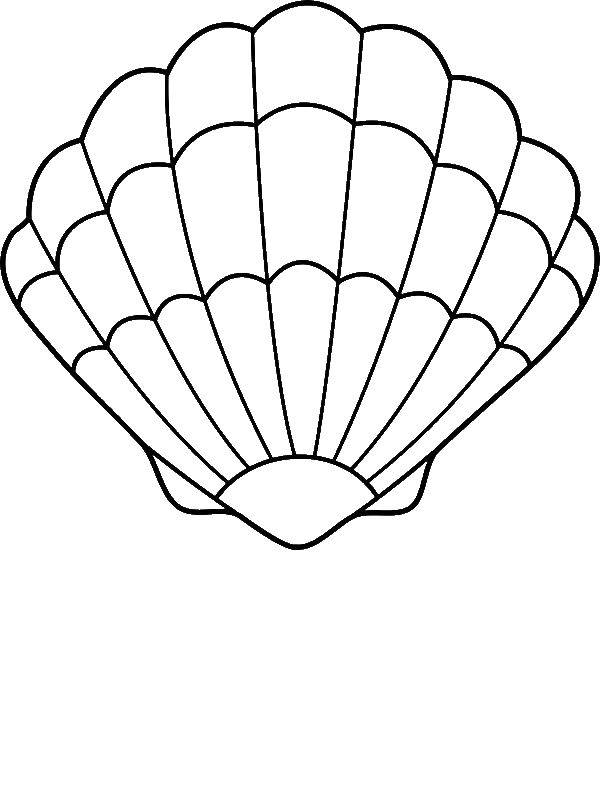 Seashell Printable Coloring Pages Coloring Home