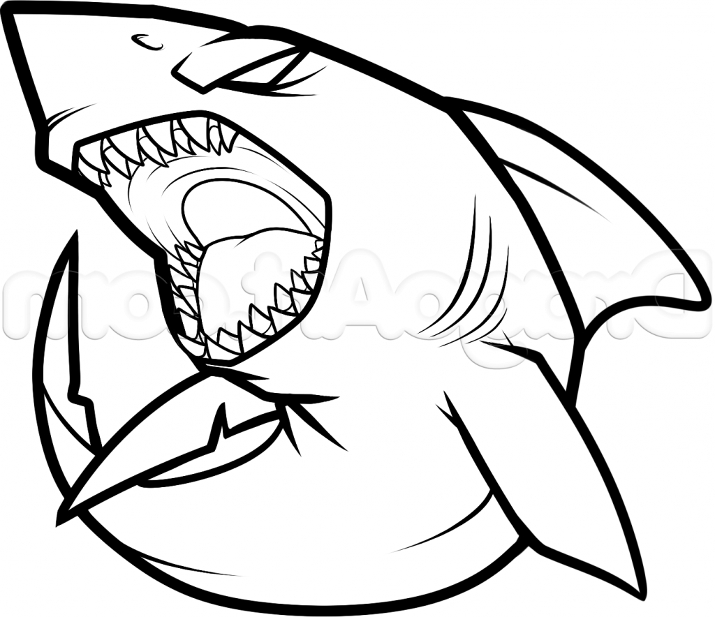 Shark Simple Drawing at GetDrawings Free download