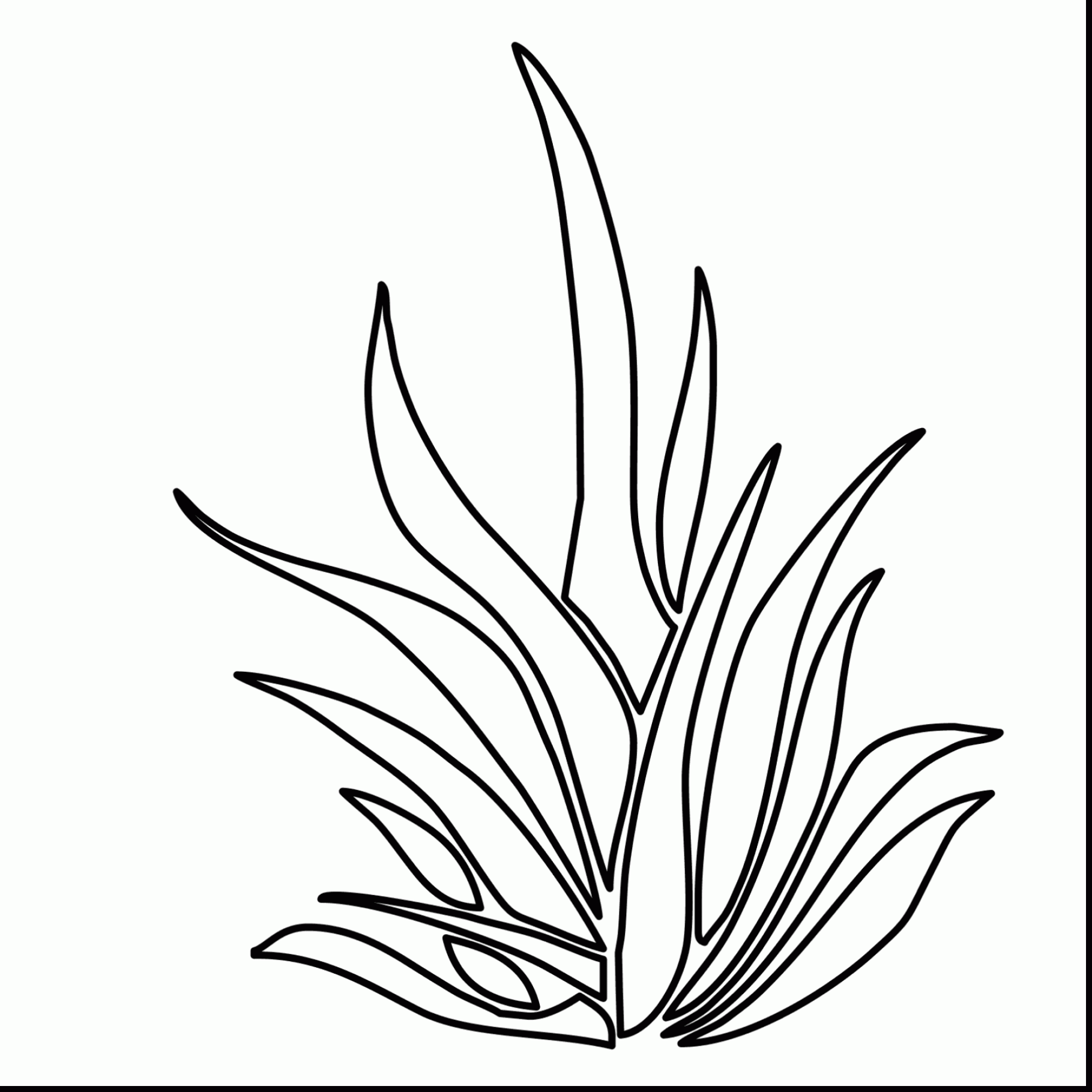 Shrubs Drawing at GetDrawings Free download
