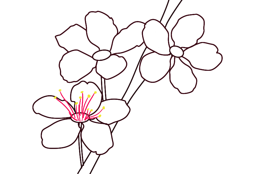 Simple Cherry Blossom Drawing at GetDrawings Free download