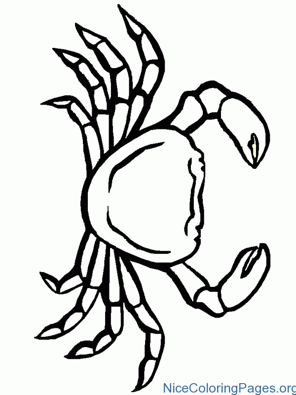 Simple Crab Drawing at GetDrawings Free download