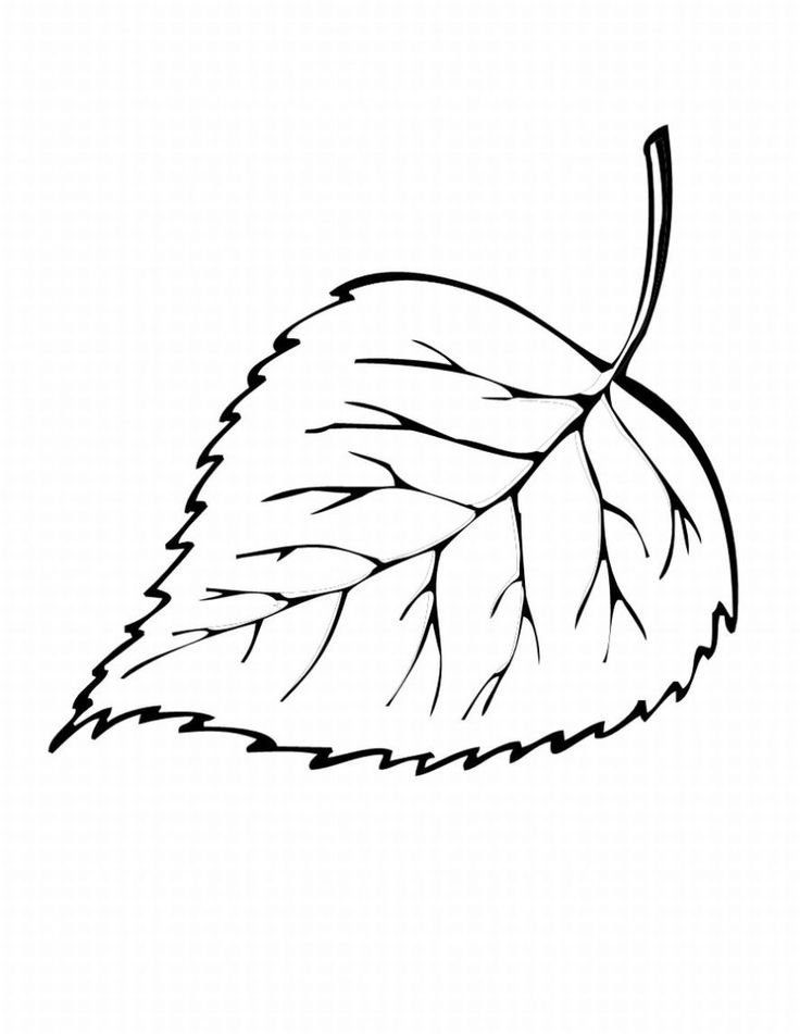 Simple Leaf Drawing at GetDrawings Free download