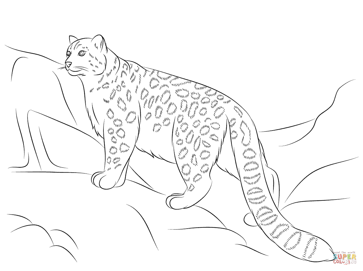 Simple Leopard Drawing at GetDrawings Free download