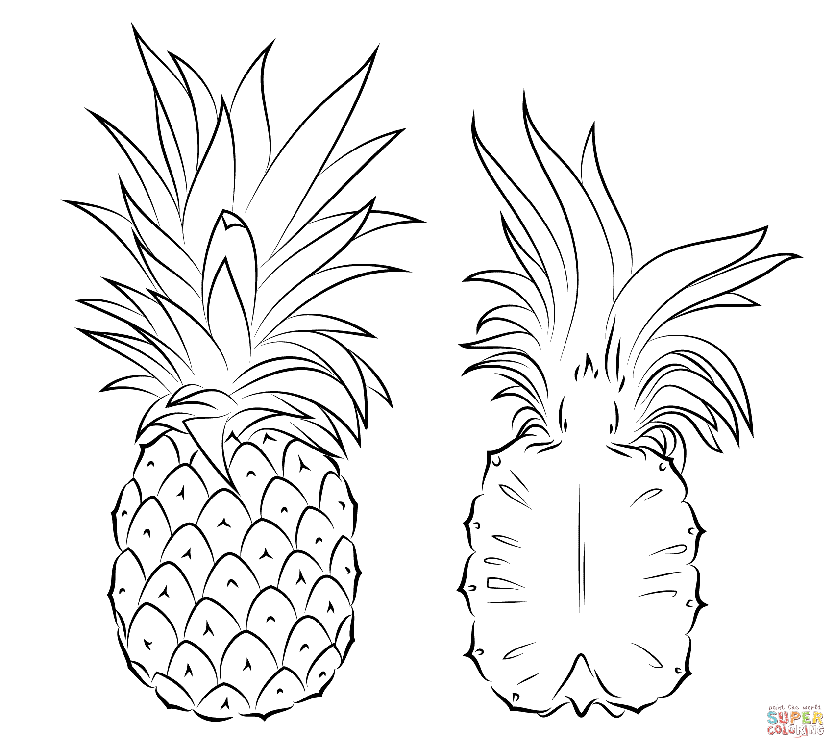 Simple Pineapple Drawing at GetDrawings Free download