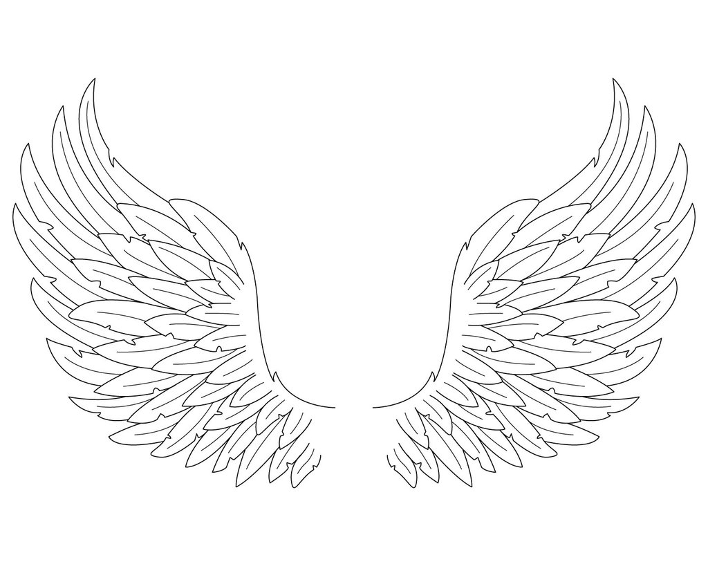 Simple Wing Drawing at GetDrawings Free download